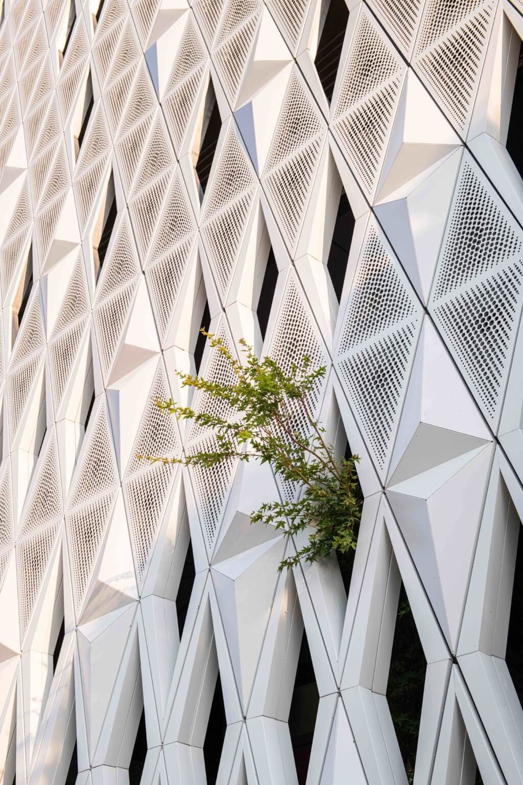 عملکرد حرارتی و صوتی نما